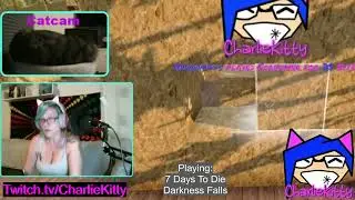 Twitch sound alert scare