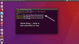 02 Linux DOS: file copying and permissions
