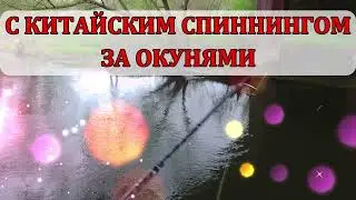 С китайским спиннингом за окунями