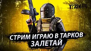 52# ДЕЛАЮ КВЕСТЫ /ЧИТАЮ ЧАТ/ Escape From Tarkov /EFT/ СТРИМ.