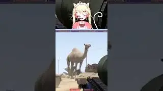 GIANT CAMEL IN ARMA