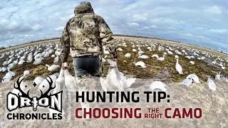 Hunting Tip | How to Choose Camo for Hunting
