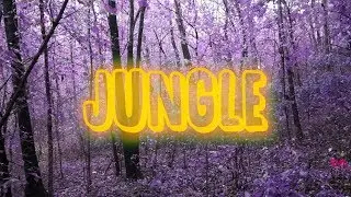 YWK Kobe & RiqqDaDawgg - Jungle (OFFICIAL MUSIC VIDEO)