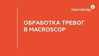 Обработка тревог в Macroscop 4.2