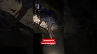 Шри-Ланка. Подземное озеро. Часть 3