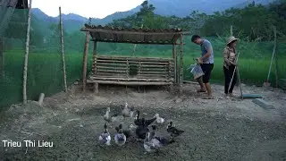 Completing the chicken coop with bamboo | planting green onions