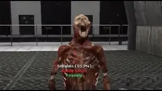 Gmod SCP Breach: The Random Mess