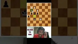 THE TRUE UNITY of PAWNS