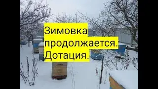 Зимовка продолжается  Дотация