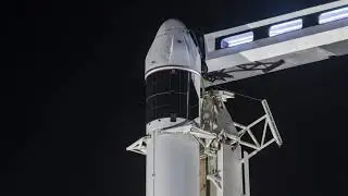 Маск обсудит новости, связанные со Starship на заседании National Academies