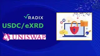 E-Radix LP Incentives