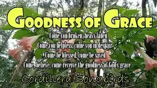 The Goodness Of God's Grace - Beautiful Inspirational Country Songs