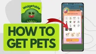 How To Get Pets In Widgetable (Quick Guide)