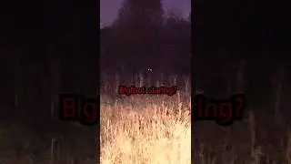 Scary Sounds Caught In HELLTOWN Forest #paranormal #scary #exploration