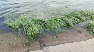 Ушёл на прогулку к районной набережной и какие там новшества