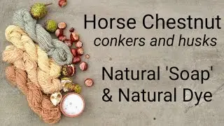 Horse Chestnut, natural 'soap' & natural dye