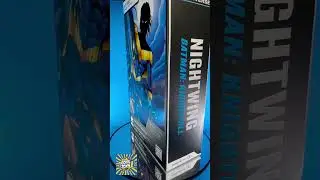 Night wing Batman : Knightfall DC Multiverse Mcfarlane Toys #nightwing #mcfarlane #dccomics #batman