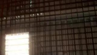 Прост Ну Блин