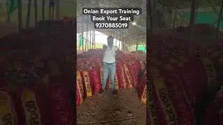Watch Onion Export System  How To Start Onion Export From India