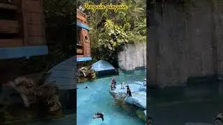 taman safari bogortaman safaritaman safari aman safari bogor 2023taman safari #short #tamansafari 12