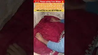 Dog Sound |Stray Little Puppies Winter safety |Dog love respect 