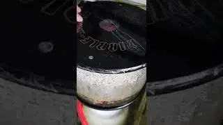 Bubble Magus elite curve 9 skimmer in action