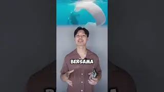 Hewan Laut PALING LANGKA