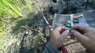 ловля карася на крышки и поплавочные удочки