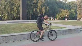Таран куста