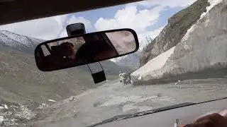 Zozi La