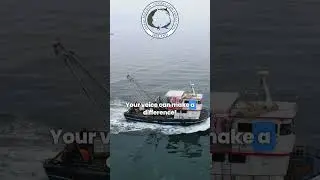 Save Our Oceans - Ban Pair Trawling in inshore Irish waters!  #whale #dolphin #ocean #wildlife