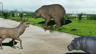 wild animal's/vfx/graphics/animals green screen/free use/animal's/3d characters animation