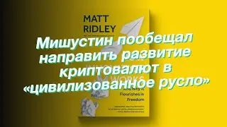 Мишустин пообещал направить развитие криптовалют в «цивилизованное русло»