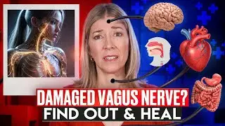 Is My Vagus Nerve Damaged? Find Out Now!