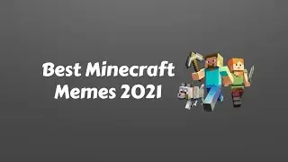 Best Minecraft Memes 2021