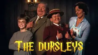 What If The Dursleys Actually Loved Harry Potter?