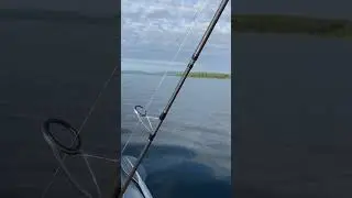 В ПОИСКАХ 🔍 СУДАКА! 