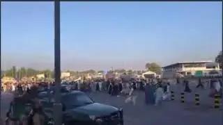 O povo em kabul está sendo massacrado vídeos de hoje pela manhã absurdo Afeganistão Cabul talibãs