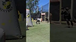 Rate The Dive? || Professional Paintball 