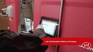 Lely Individualized Milking Techniques