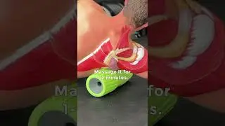 Rotator cuff causing shoulder pain? 