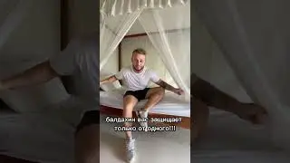 What are canopies over beds actually for in Asia?! 