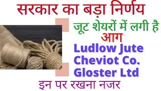 Ludlow Jute Share | Cheviot Share News | Gloster jute share | Jute Stocks Latest News | Jute Stocks