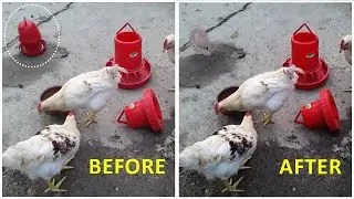 How to remove anything from a image using photoshop