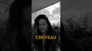 Rêver et réalité: comment votre cerveau fait la différence?
