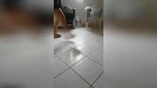 Vídeo