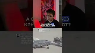 Почему у самолета одно крыло? 