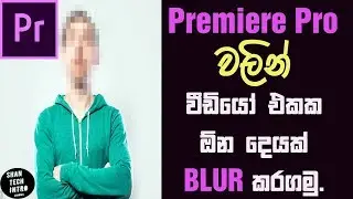 How to Blur Face, Logo (Or Anything Else) video in adobe premiere pro [සිංහල]🔥 1080p HD