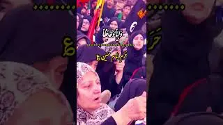 Dua e Imam e Zamana (Dua Faraj) || Ali Safdar || Haram e Mola Hussain a.s #alisafdar #haramimam