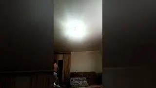 27 июля 2024 г.